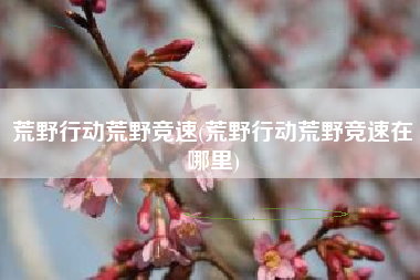荒野行动荒野竞速(荒野行动荒野竞速在哪里)