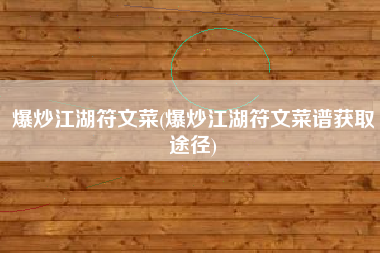 爆炒江湖符文菜(爆炒江湖符文菜谱获取途径)