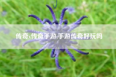 传奇x传奇手游,手游传奇好玩吗