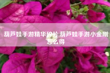 葫芦娃手游精华碎片,葫芦娃手游小金刚怎么得