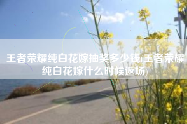 王者荣耀纯白花嫁抽奖多少钱(王者荣耀纯白花嫁什么时候返场)