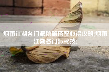 烟雨江湖各门派秘籍搭配心得攻略(烟雨江湖各门派秘技)