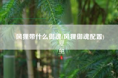 风狸带什么御魂(风狸御魂配置)
