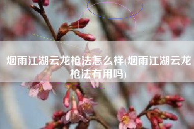 烟雨江湖云龙枪法怎么样(烟雨江湖云龙枪法有用吗)