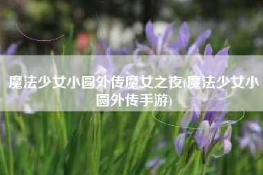 魔法少女小圆外传魔女之夜(魔法少女小圆外传手游)