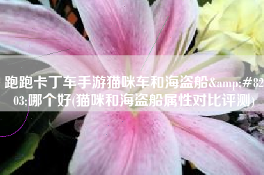 跑跑卡丁车手游猫咪车和海盗船&#8203;哪个好(猫咪和海盗船属性对比评测)
