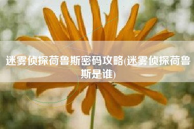 迷雾侦探荷鲁斯密码攻略(迷雾侦探荷鲁斯是谁)