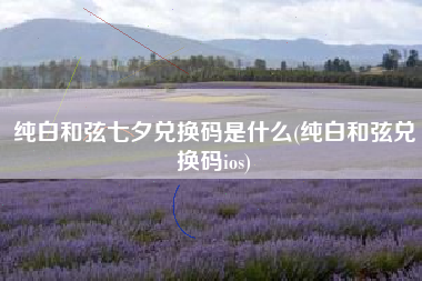 纯白和弦七夕兑换码是什么(纯白和弦兑换码ios)