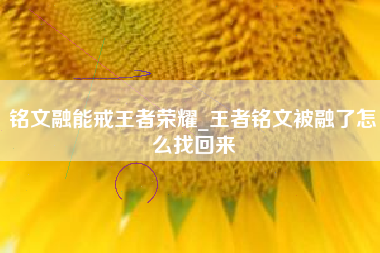 铭文融能戒王者荣耀_王者铭文被融了怎么找回来
