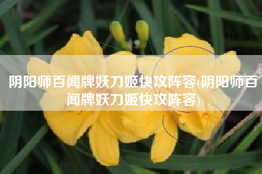 阴阳师百闻牌妖刀姬快攻阵容(阴阳师百闻牌妖刀姬快攻阵容)