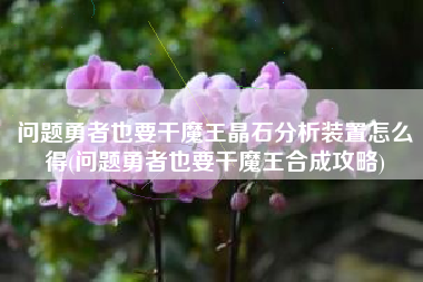 问题勇者也要干魔王晶石分析装置怎么得(问题勇者也要干魔王合成攻略)