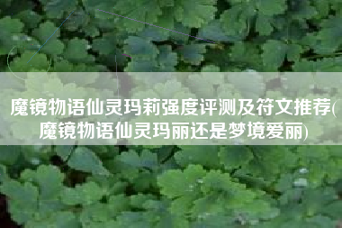 魔镜物语仙灵玛莉强度评测及符文推荐(魔镜物语仙灵玛丽还是梦境爱丽)