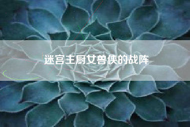 迷宫主厨女兽侠的战阵