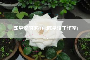 陈星汉的家(TGC陈星汉工作室)