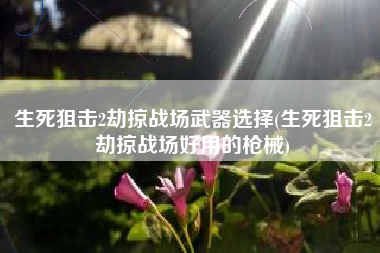 生死狙击2劫掠战场武器选择(生死狙击2劫掠战场好用的枪械)