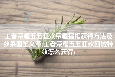 王者荣耀五五狂欢荣耀播报获得方法及效果图鉴文章(王者荣耀五五狂欢回城特效怎么获得)