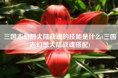 三国志幻想大陆战魂的技能是什么(三国志幻想大陆战魂搭配)