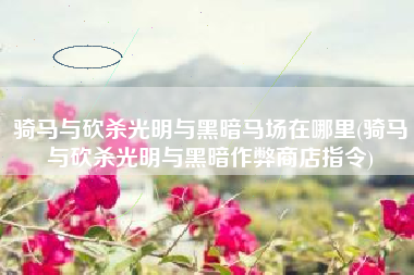骑马与砍杀光明与黑暗马场在哪里(骑马与砍杀光明与黑暗作弊商店指令)