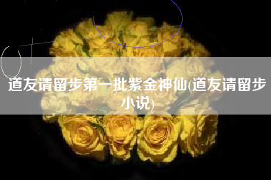 道友请留步第一批紫金神仙(道友请留步小说)