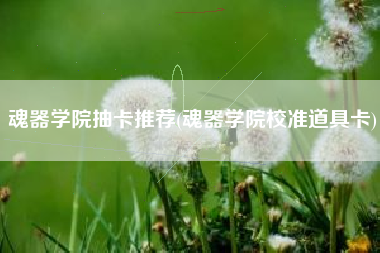 魂器学院抽卡推荐(魂器学院校准道具卡)