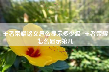 王者荣耀铭文怎么显示多少级_王者荣耀怎么显示第几