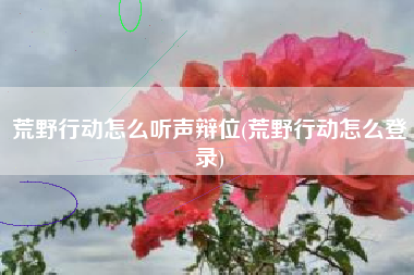 荒野行动怎么听声辩位(荒野行动怎么登录)