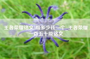 王者荣耀铭文5级多少钱一个_王者荣耀一百五十级铭文