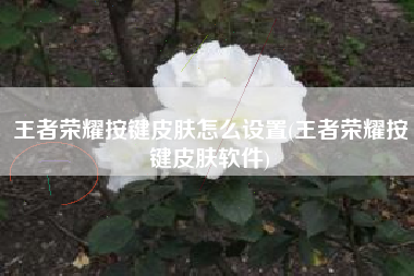 王者荣耀按键皮肤怎么设置(王者荣耀按键皮肤软件)