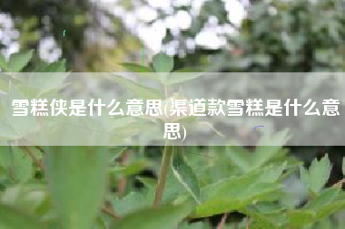 雪糕侠是什么意思(渠道款雪糕是什么意思)