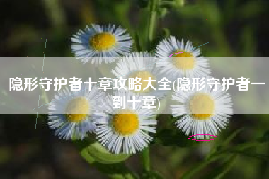 隐形守护者十章攻略大全(隐形守护者一到十章)