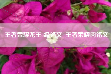 王者荣耀龙王4级铭文_王者荣耀肉铭文