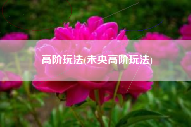 高阶玩法(未央高阶玩法)