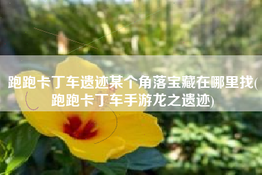 跑跑卡丁车遗迹某个角落宝藏在哪里找(跑跑卡丁车手游龙之遗迹)