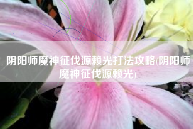 阴阳师魔神征伐源赖光打法攻略(阴阳师魔神征伐源赖光)