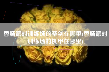 香肠派对训练场的圣剑在哪里(香肠派对训练场的机甲在哪里)