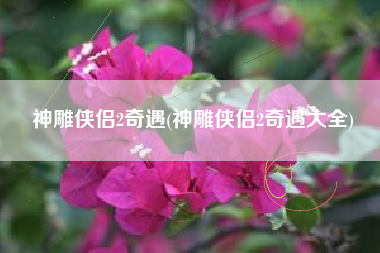 神雕侠侣2奇遇(神雕侠侣2奇遇大全)