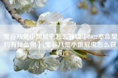鬼谷八荒小跟屁虫怎么升级【2022本命契约有什么用】(鬼谷八荒小跟屁虫怎么获得)