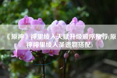 《原神》神里绫人天赋升级顺序推荐(原神神里绫人圣遗物搭配)
