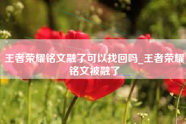 王者荣耀铭文融了可以找回吗_王者荣耀铭文被融了