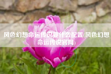 风色幻想命运传说要什么配置(风色幻想命运传说官网)