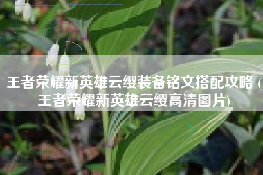 王者荣耀新英雄云缨装备铭文搭配攻略 (王者荣耀新英雄云缨高清图片)