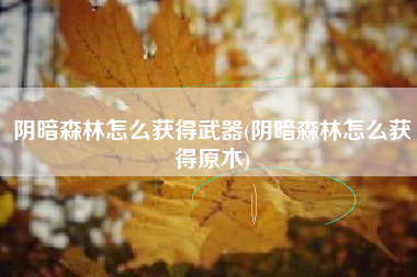 阴暗森林怎么获得武器(阴暗森林怎么获得原木)