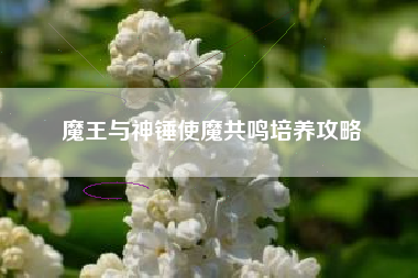 魔王与神锤使魔共鸣培养攻略