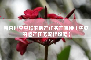 魔兽世界黑铁的遗产任务在哪接（黑铁的遗产任务流程攻略）