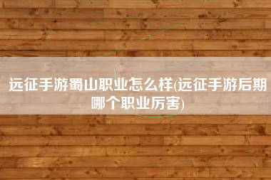 远征手游蜀山职业怎么样(远征手游后期哪个职业厉害)