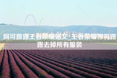 阿可露露王者荣耀铭文_王者荣耀娜可露露去掉所有服装