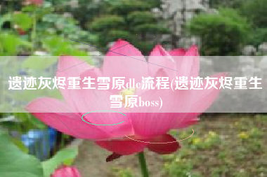 遗迹灰烬重生雪原dlc流程(遗迹灰烬重生雪原boss)