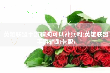 英雄联盟手游辅助可以补兵吗(英雄联盟手游辅助卡盟)