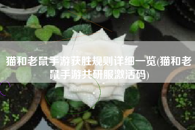 猫和老鼠手游获胜规则详细一览(猫和老鼠手游共研服激活码)