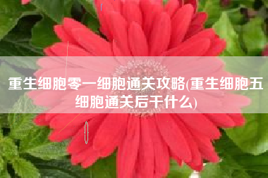 重生细胞零一细胞通关攻略(重生细胞五细胞通关后干什么)